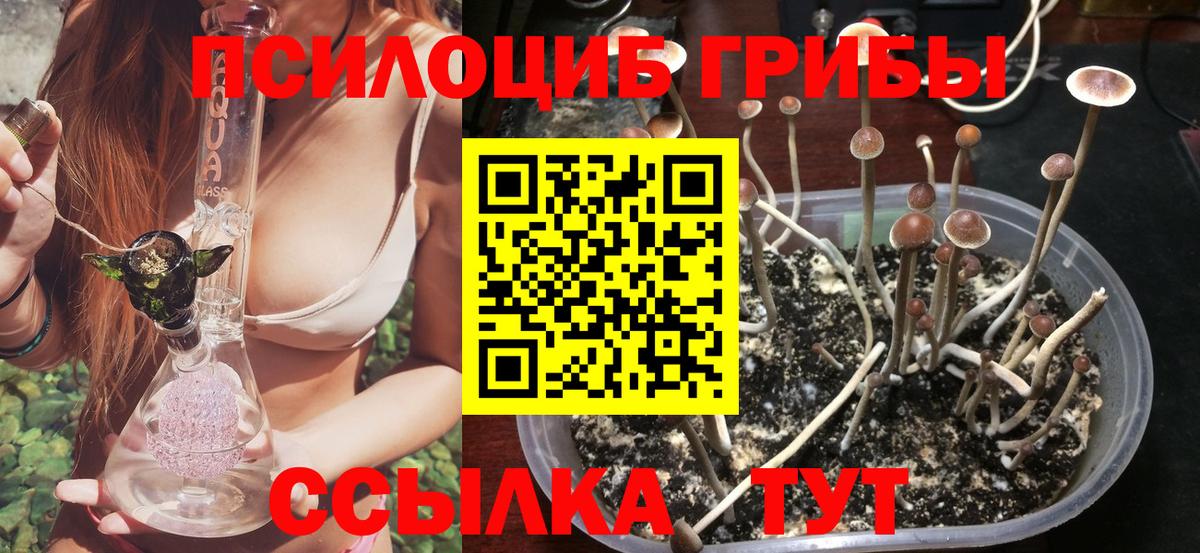 Боровичи  Галлюциногенные грибы ЛСД  Вход с VPN 